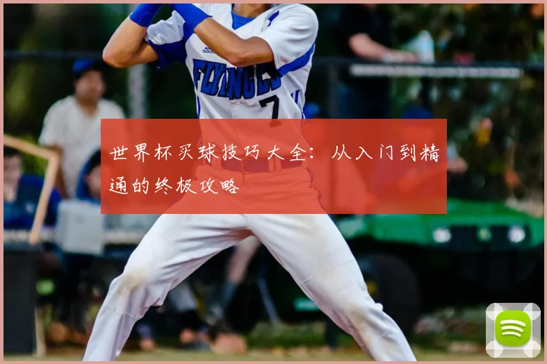 世界杯买球技巧大全:从入门到精通的终极攻略