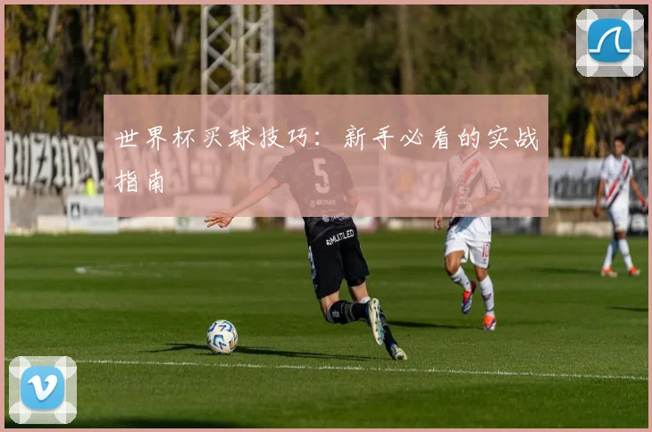 世界杯买球技巧:新手必看的实战指南
