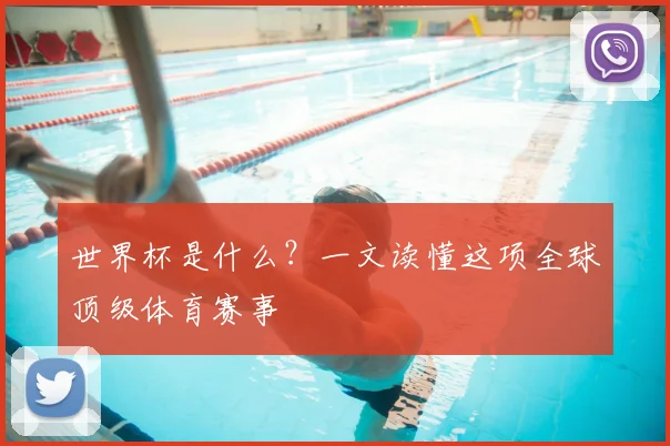 世界杯是什么?一文读懂这项全球顶级体育赛事