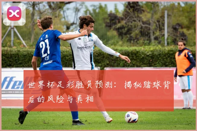 世界杯足彩胜负预测:揭秘赌球背后的风险与真相