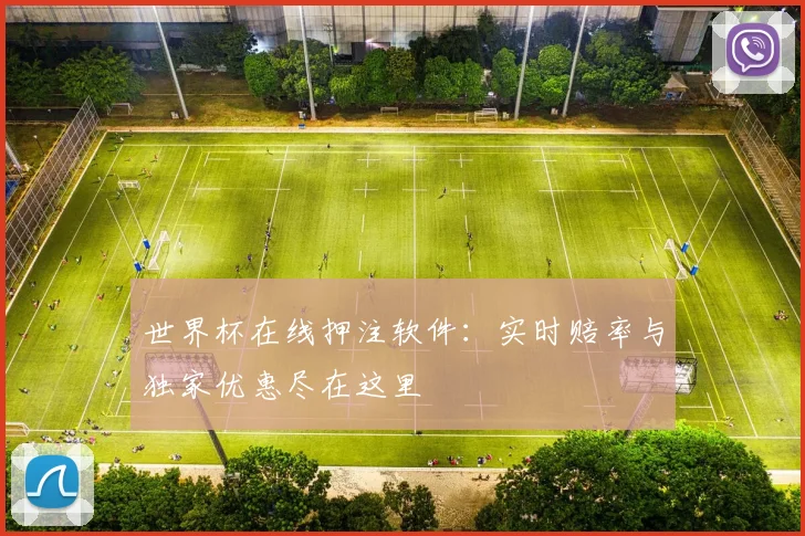 世界杯在线押注软件:实时赔率与独家优惠尽在这里