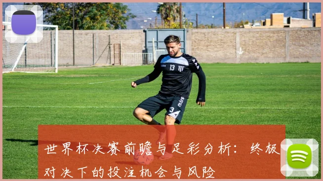 世界杯决赛前瞻与足彩分析：终极对决下的投注机会与风险