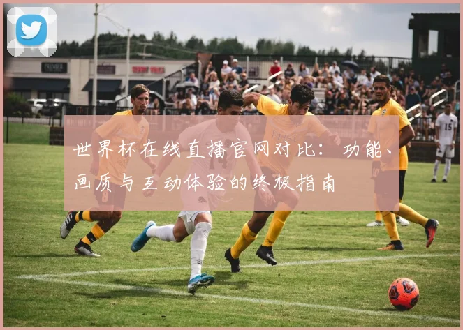 世界杯在线直播官网对比:功能、画质与互动体验的终极指南