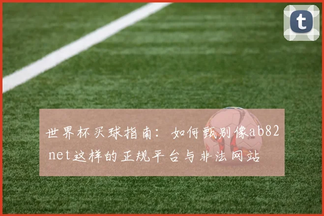 世界杯买球指南:如何甄别像ab82 net这样的正规平台与非法网站