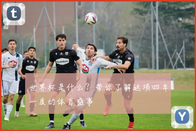 世界杯是什么?带你了解这项四年一度的体育盛事