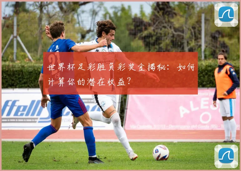 世界杯足彩胜负彩奖金揭秘:如何计算你的潜在收益?