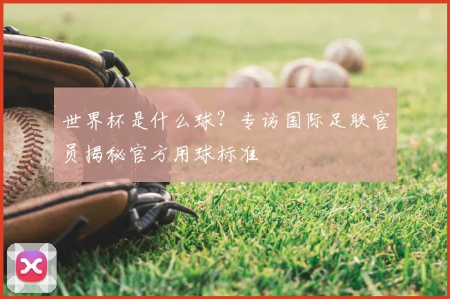 世界杯是什么球?专访国际足联官员揭秘官方用球标准