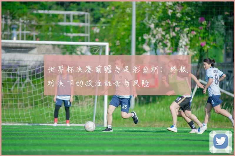 世界杯决赛前瞻与足彩分析：终极对决下的投注机会与风险