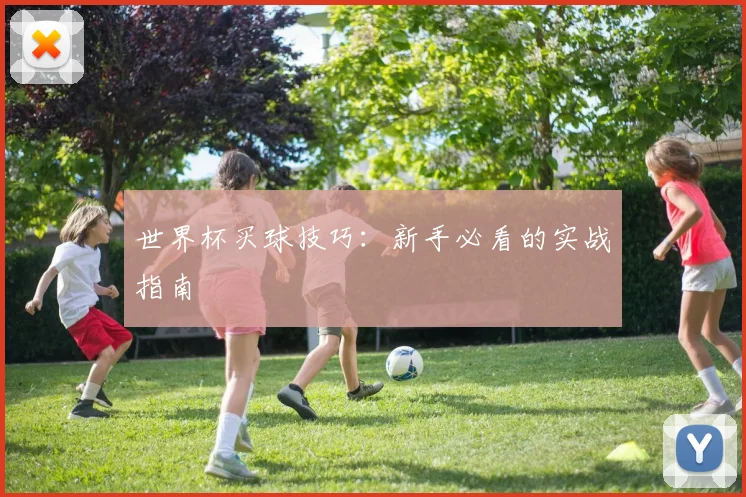 世界杯买球技巧:新手必看的实战指南