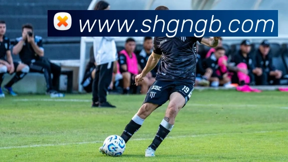 mksport体育app官网入口平台生态图