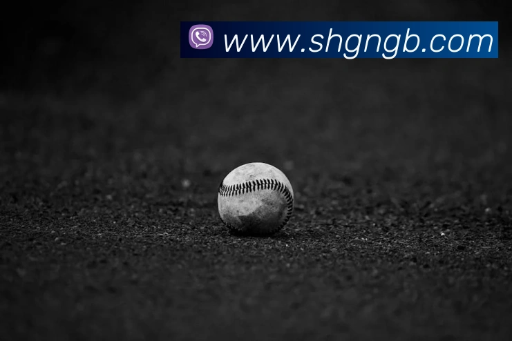 mksport体育app官网入口全站App